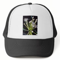 white Stephanotis floribunda flowers Mesh Hat