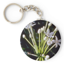 white Stephanotis floribunda flowers Keychains