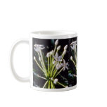 white Stephanotis floribunda flowers Mugs