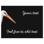 white stork - symbol of Strasbourg Flyer