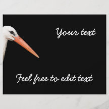 white stork - symbol of Strasbourg Flyer