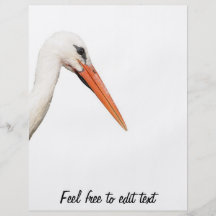 white stork - symbol of Strasbourg Full Color Flyer