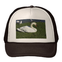 White Swan Hats