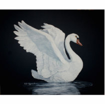 White Swan Photo Cut Out