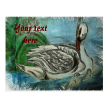 White swan postcard