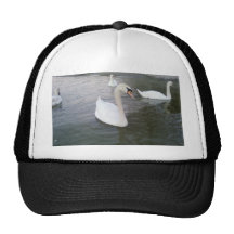 White Swans Trucker Hats
