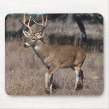 White Tail Deer Mousepad