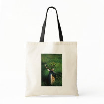 White-tailed Buck Canvas Bag