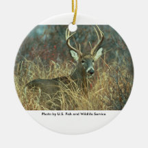 White-tailed Buck Deer Ornaments