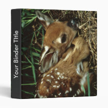 White-tailed Deer 3 Ring Binders