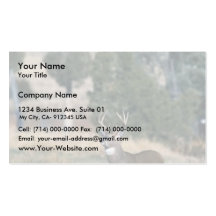 White-tailed deer buck business card