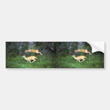 White-tailed Deer Bumper Sticker