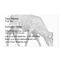 White-Tailed Deer Business Card