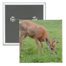 White Tailed Deer Button