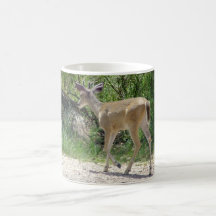 White Tailed Deer Coffee Mug