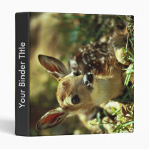 White-tailed Deer Fawn Binder