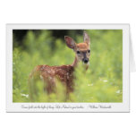 White-tailed deer fawn greeting card