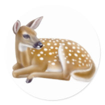 White Tailed Deer Fawn Sticker