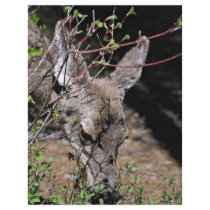 White-tailed Deer Custom Flyer
