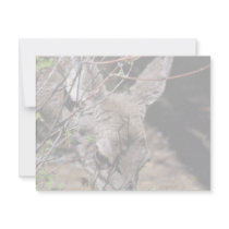 White-tailed Deer Personalized Invites