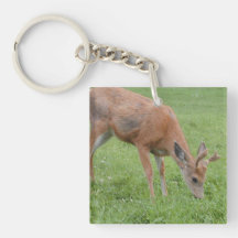 White Tailed Deer Keychain Acrylic Key Chain