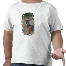 white-tailed deer Odocoileus virginianus) 2 T Shirt
