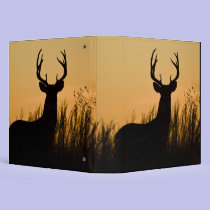 white-tailed deer Odocoileus virginianus) binders