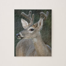 White-tailed deer (Odocoileus virginianus) Jigsaw Puzzle