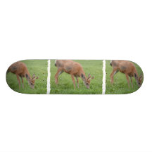 White Tailed Deer Skateboard