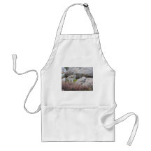 White tailed Ptarmigan Aprons