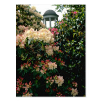 white Temple among flowers - Kew Gardens, England postcards