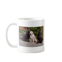 White Three Labrador retrievers sitting flowers Coffee Mugs
