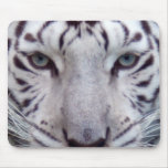 white-tiger2-10x10 mouse pads