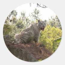 White tiger 012 round stickers