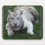 white tiger 1 11x11 mousepad