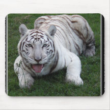 white tiger 1 11x11 mousepad