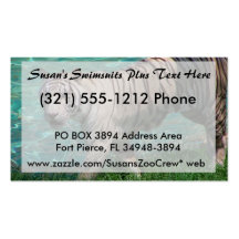 White tiger against blue water walking photograph business card templates