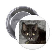 WHITE TIGER AND HOUSE CATS PIN