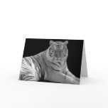 White tiger Birthday Greeting Card