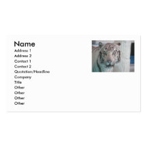 white tiger business card