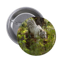 White Tiger Button