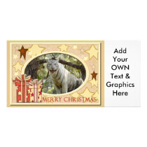 White Tiger-c-148 copy Photo Card Template