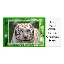 White Tiger-c-19 copy Custom Photo Card
