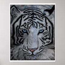 White Tiger - Casper Posters