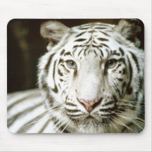 White Tiger Mouse Mats