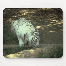 White Tiger Mouse Pad