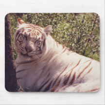 White Tiger Mouse Pads