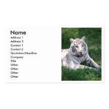 White tiger on green grass vertical frame picture business card