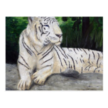 White Tiger painting by Ben Jones Post Cards