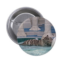 White Tiger Pins